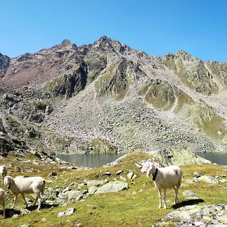 Daire Beim Holzschnitzer-2 By Interhome *