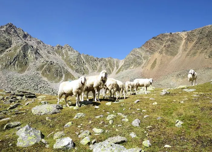 Beim Holzschnitzer-2 By Interhome Апартаменты